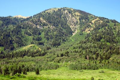 IMG_1131.jpg