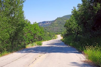 IMG_1136.jpg
