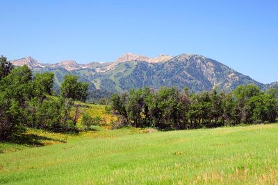 IMG_1138.jpg