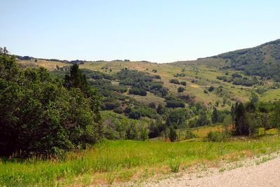 IMG_1139.jpg