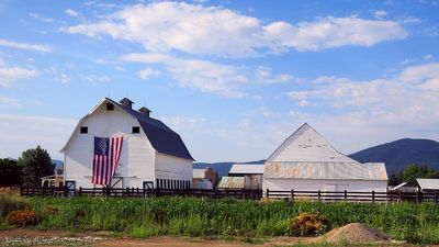 IMG_1144.jpg