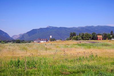 IMG_1172.jpg