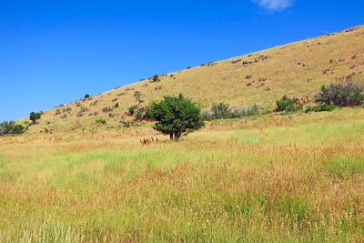 IMG_1177.jpg