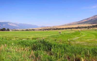 IMG_1189.jpg