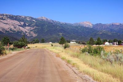 IMG_1193.jpg