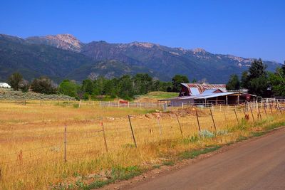IMG_1195.jpg