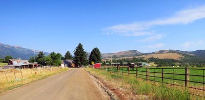 IMG_1196.jpg