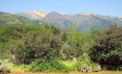 IMG_1202.jpg