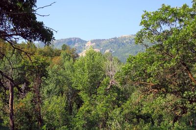 IMG_1204.jpg