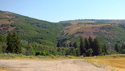 IMG_1206.jpg