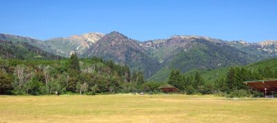IMG_1207.jpg