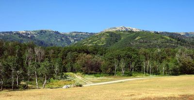 IMG_1208.jpg