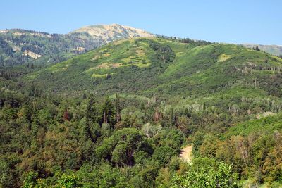 IMG_1211.jpg