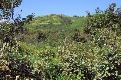 IMG_1213.jpg