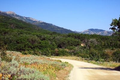 IMG_1219.jpg