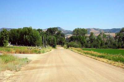 IMG_1223.jpg