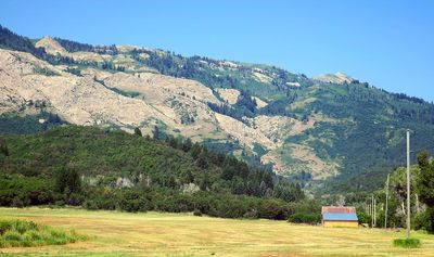 IMG_1226.jpg
