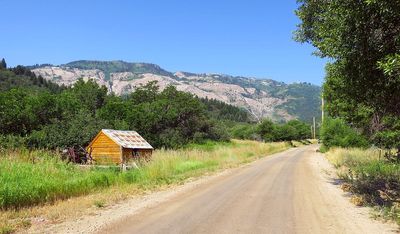 IMG_1231.jpg