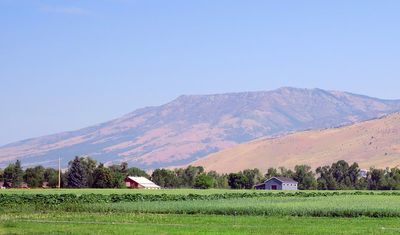 IMG_1251.jpg