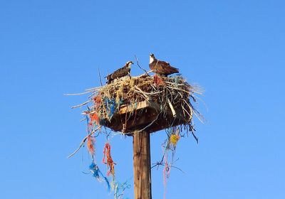 IMG_1253.jpg