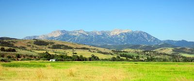 IMG_1270.jpg