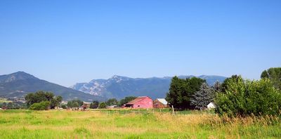 IMG_1271.jpg
