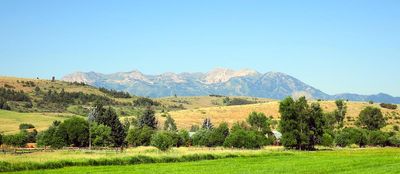 IMG_1275.jpg