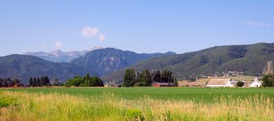 IMG_1281.jpg