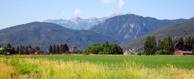IMG_1282.jpg