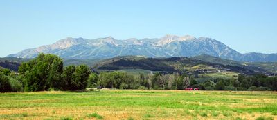 IMG_1292.jpg