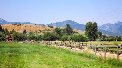 IMG_1295.jpg