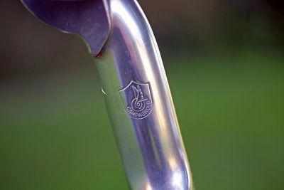 IMG_9779.jpg