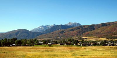 IMG_1847.jpg