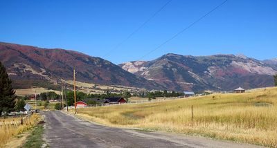 IMG_1848.jpg