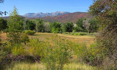 IMG_1879.jpg