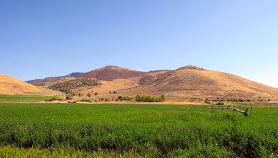IMG_1886.jpg