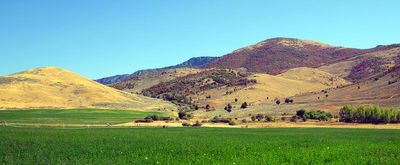 IMG_1887.jpg