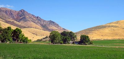 IMG_1888.jpg