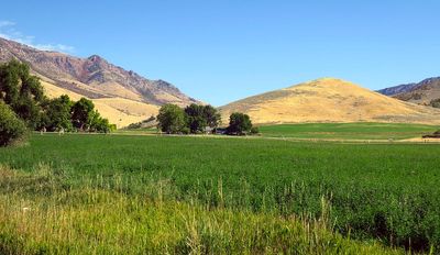 IMG_1889.jpg