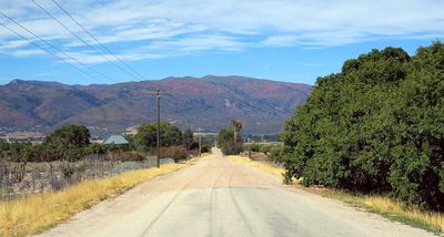 IMG_1896.jpg