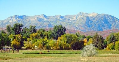 DSCN0183.jpg