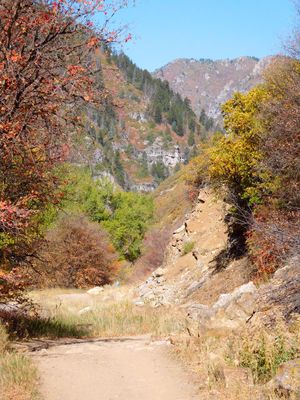 DSCN0838.jpg