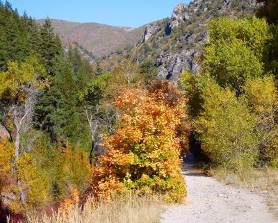 DSCN0857.jpg