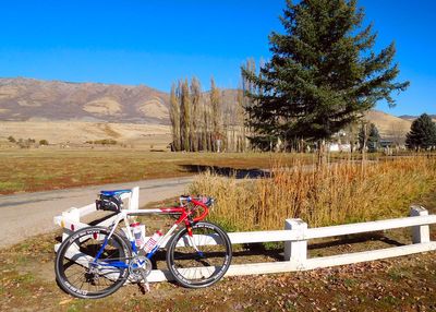 DSCN1516.jpg