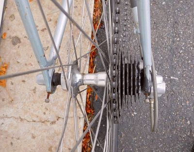 DSCN1602.jpg