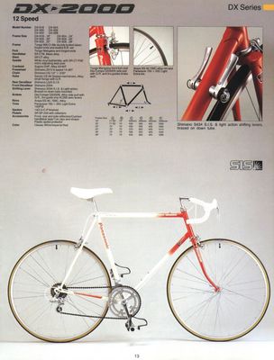 1987catDX2000Page13.jpg