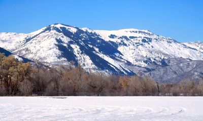 DSCN2447.jpg