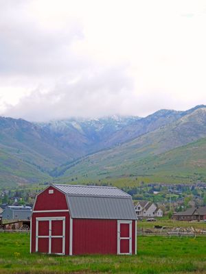 DSCN3176.jpg