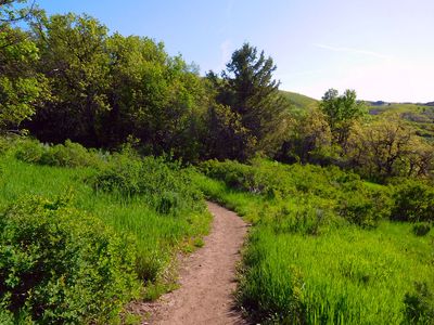 DSCN3415.jpg