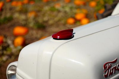 L1040730.jpg